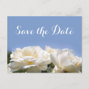 Carte Postale Faire-part belles fleurs de rose blanches sauvent la date