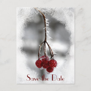 Carte Postale Faire-part Berries rouges et gel Mariage d'hiver Enregistrer 