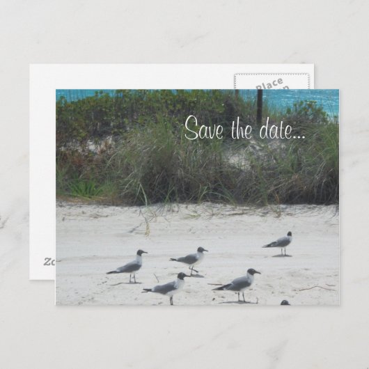 Carte Postale Faire-part Birds of a Feather, troupeau ensemble…. (Devant / Derrière)