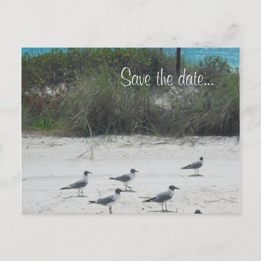 Carte Postale Faire-part Birds of a Feather, troupeau ensemble…. (Devant)