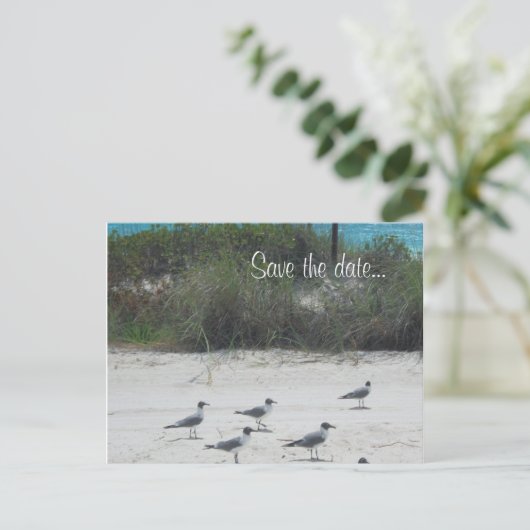 Carte Postale Faire-part Birds of a Feather, troupeau ensemble…. (Debout devant)