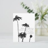 Carte Postale Faire-part Black and White Black Eyed Susans Enregistrer la d (Debout devant)