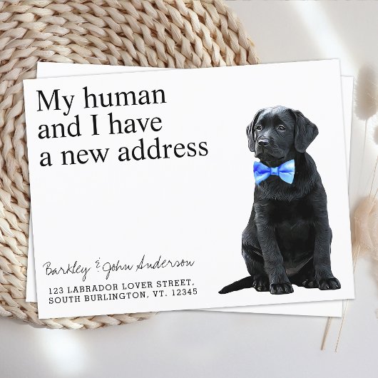 Carte Postale Faire-part Black Lab Nouvelle Adresse Chien Déplacer