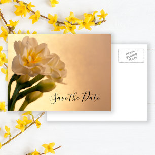 Carte Postale Faire-part Blanc Double Daffodil Printemps Mariage Enregistre