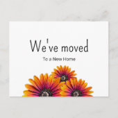 Carte Postale Faire-part Boho Daisies Simple Botanique Nous Avons Déménagé (Devant)