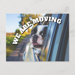 Carte Postale Faire-part Boîte Chien Boxer Mignon dans la Voiture Changemen