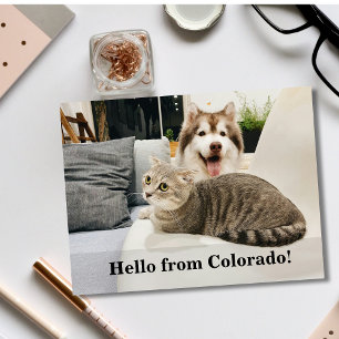 Carte Postale Faire-part Bonjour voisin éditable, nouvelle adresse, intro