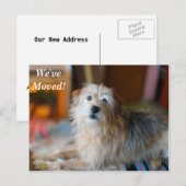 Carte Postale Faire-part Bordure Terrier Nous avons déplacé une nouvelle ad (Devant / Derrière)