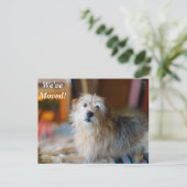 Carte Postale Faire-part Bordure Terrier Nous avons déplacé une nouvelle ad (Debout devant)