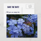 Carte Postale Faire-part Bouquet de Plumbago (Devant / Derrière)