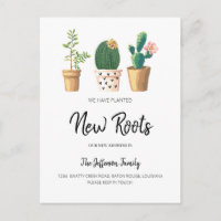 Cactus Chic Planté Nouvelles Racines Déplacées Dém