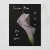 Carte Postale Faire-part Calla Lily Mariage Enregistrer la date (Devant)