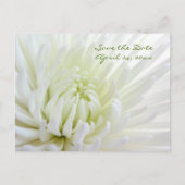 Carte Postale Faire-part Carton de mariage Fleur Enregistrer la date (Devant)