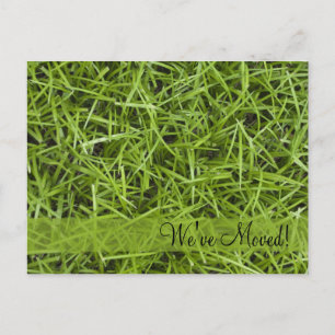 Carte Postale Faire-part Changement d'adresse de l'herbe verte