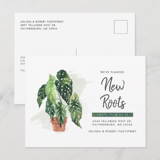 Carte Postale Faire-part Changement d'adresse de plante en pot Déménagement (Devant / Derrière)