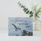 Carte Postale Faire-part Changement D'Adresse En Bleu Pelican Photo Nouveau (Debout devant)