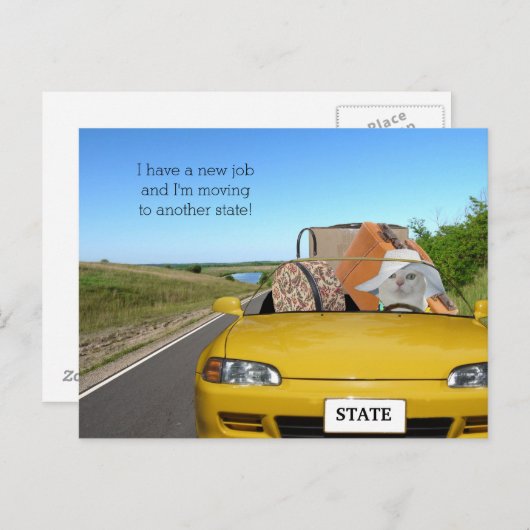 Carte Postale Faire-part Chat/Chaton Drôle Personnalisable en Déplacement (Devant / Derrière)