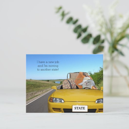 Carte Postale Faire-part Chat/Chaton Drôle Personnalisable en Déplacement (Debout devant)