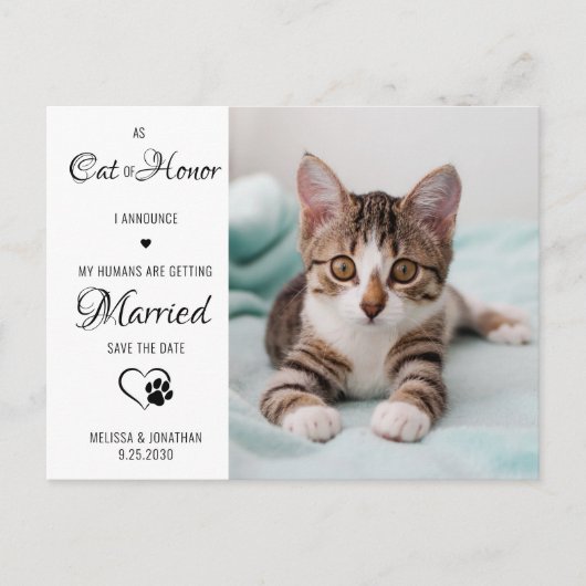 Carte Postale Faire-part Chat d'honneur Photo de mariage d'animaux Enregist (Devant)