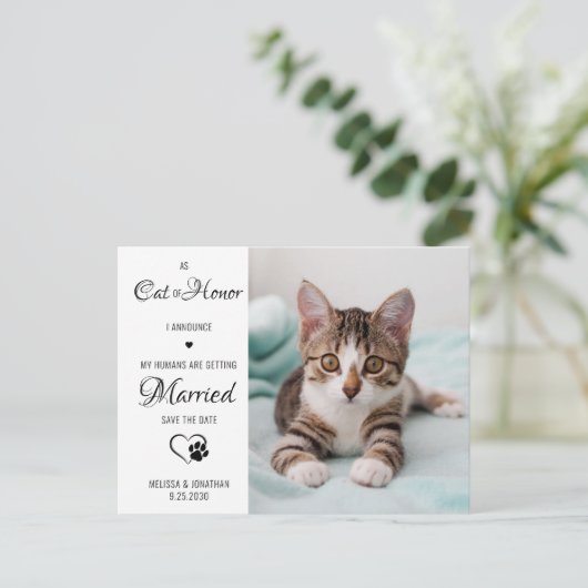 Carte Postale Faire-part Chat d'honneur Photo de mariage d'animaux Enregist (Debout devant)