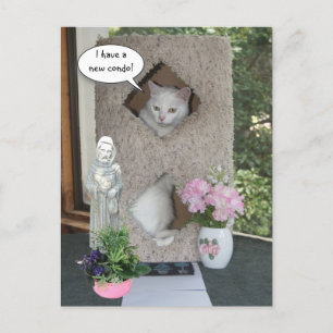 Carte Postale Faire-part Chat Drôle/ Je Déménage/Nouvelle Adresse
