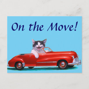 Carte Postale Faire-part Chaton dans un convertible rouge