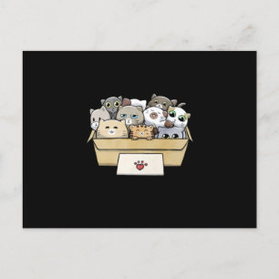 Carte Postale Faire-part Chats Dans Une Boîte Chat Amoureux des chats Jour