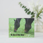 Carte Postale Faire-part Chevaux pâturant Nouvelle adresse Nature (Debout devant)