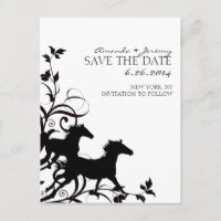 Chevaux Sauvages Noirs et Blancs Sauvegarder la Da