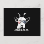 Carte Postale Faire-part Chèvre Patriotique Chèvre Drôle Amérique (Devant)