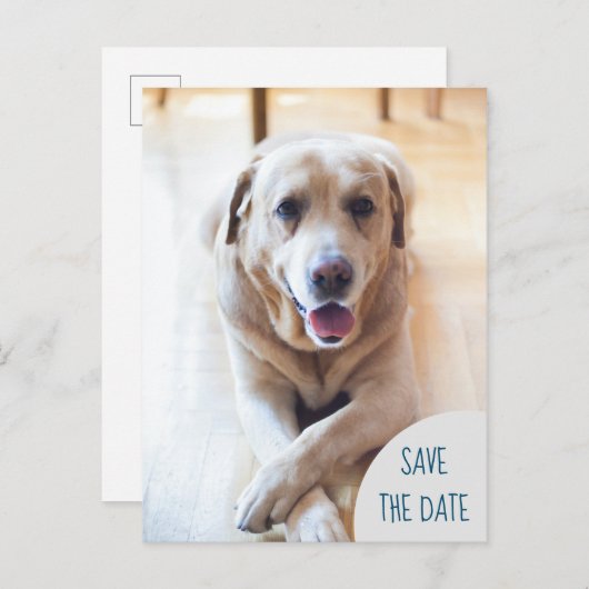 Carte Postale Faire-part Chien Annonçant Enregistrer La Date Photo Mariage (Devant / Derrière)