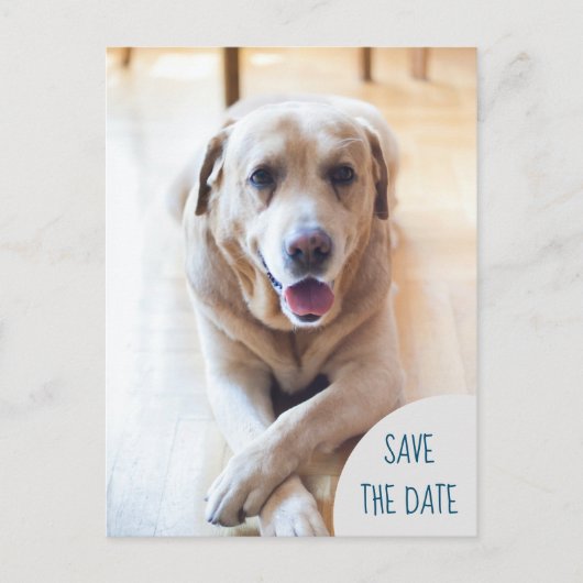Carte Postale Faire-part Chien Annonçant Enregistrer La Date Photo Mariage (Devant)