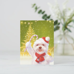 Carte Postale Faire-part Chien de Noël avec Sucre de canne