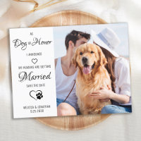 Chien D'Honneur Animaux Mariages Photo Enregistrer