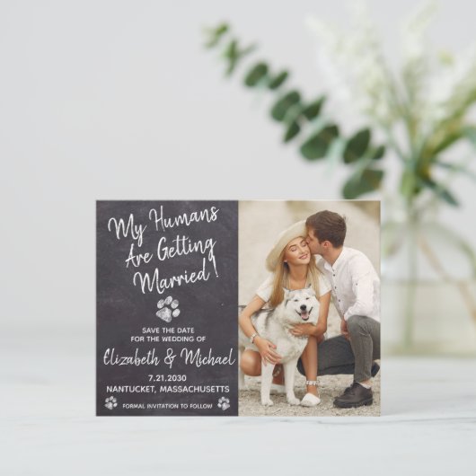 Carte Postale Faire-part Chien Mariage Rustique Chien Enregistrer La Date (Debout devant)