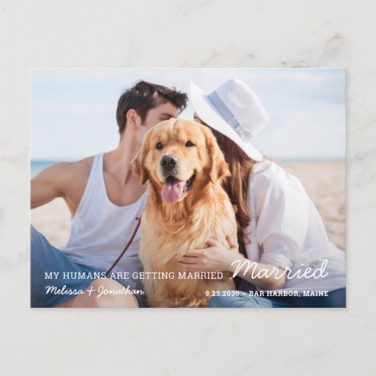 Carte Postale Faire-part Chien simple Mariage pour animaux de compagnie Enr (Devant)