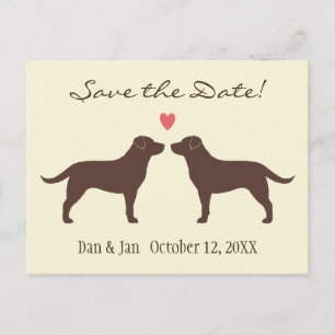 Carte Postale Faire-part Chocolat Labradors Chiens Mariage Enregistrer la d
