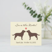 Carte Postale Faire-part Chocolat Labradors Chiens Mariage Enregistrer la d (Debout devant)