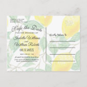 Carte Postale Faire-part Citron moderne été Enregistrer la date Mariage (Dos)