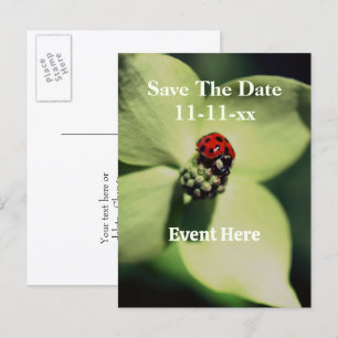 Carte Postale Faire-part Coccinelle Fleur Enregistrer La Date