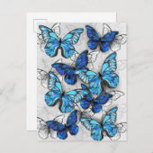 Carte Postale Faire-part Composition de papillons blancs et bleus (Devant / Derrière)