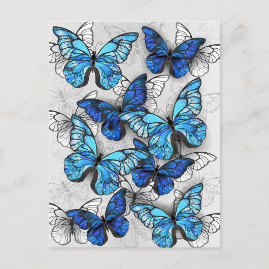 Carte Postale Faire-part Composition de papillons blancs et bleus (Devant)