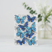 Carte Postale Faire-part Composition de papillons blancs et bleus (Debout devant)