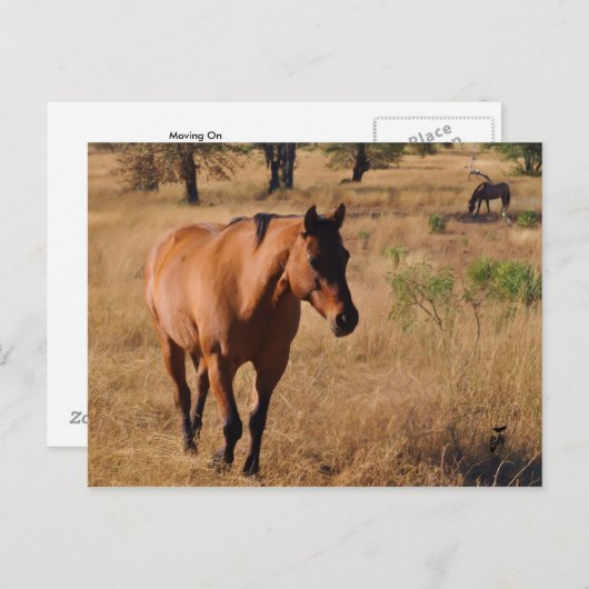 Carte Postale Faire-part continuer (Devant / Derrière)