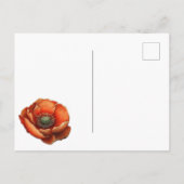 Carte Postale Faire-part Coquelicots rouges aquarelles sublimes dans un sty (Dos)