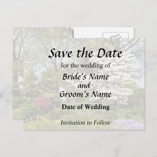 Carte Postale Faire-part Cornouiller en fleurs (Devant / Derrière)