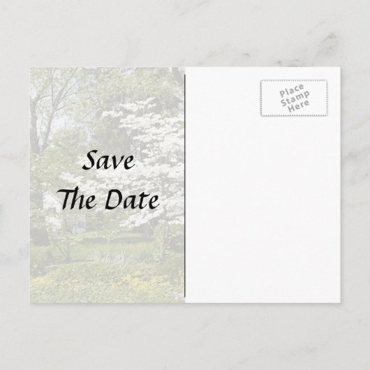 Carte Postale Faire-part Cornouiller en fleurs (Dos)