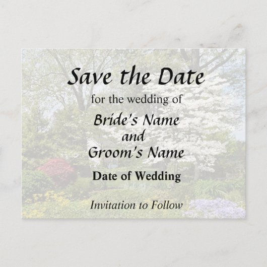 Carte Postale Faire-part Cornouiller en fleurs (Devant)