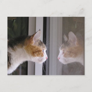 Carte Postale Faire-part Corrections