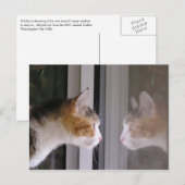 Carte Postale Faire-part Corrections (Devant / Derrière)